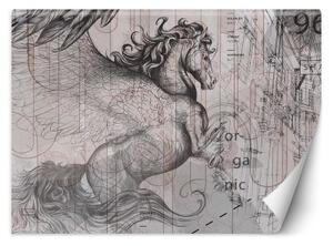 Fototapeta, Pegasův kůň abstraktní - 100x70 cm