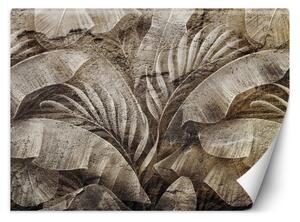 Fototapeta, Tropické listí na betonu imitující texturu. - 300x210 cm