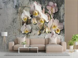 Fototapeta, Kvetoucí orchidej Květiny Stěna - 100x70 cm