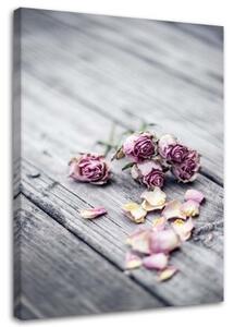 Obraz na plátně Květiny Růže Dřevo Příroda - 40x60 cm