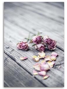 Obraz na plátně Květiny Růže Dřevo Příroda - 40x60 cm