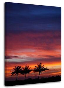 Obraz na plátně Palmy západ slunce moře - 70x100 cm