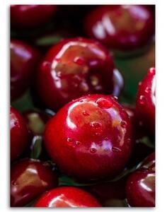 Obraz na plátně Třešně Ovoce Červená - 40x60 cm