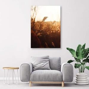 Obraz na plátně Meadow Sun Nature Beige - 60x90 cm