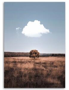 Obraz na plátně Pole se stromy Krajina - 40x60 cm