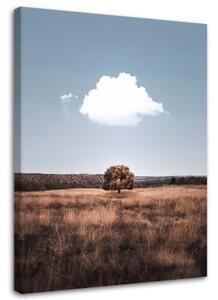 Obraz na plátně Stromové pole Krajina - 70x100 cm