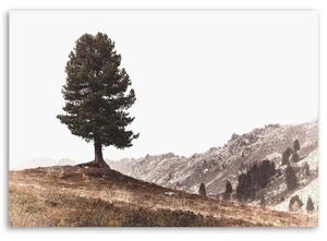 Obraz na plátně Strom Hory Příroda - 60x40 cm