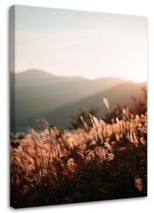 Obraz na plátně Meadow Mountain Nature - 70x100 cm