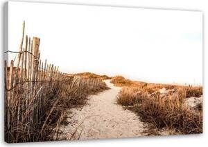 Obraz na plátně Cesta přes duny Pláž Moře - 60x40 cm