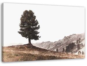 Obraz na plátně Strom Hory Příroda - 90x60 cm