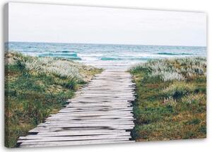 Obraz na plátně Pobřežní stezka Příroda - 90x60 cm