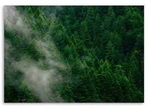 Obraz na plátně Lesní mlha Příroda Zelená - 90x60 cm