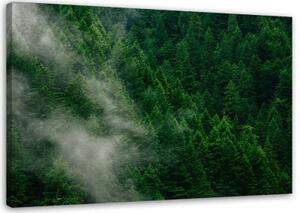 Obraz na plátně Lesní mlha Příroda Zelená - 100x70 cm