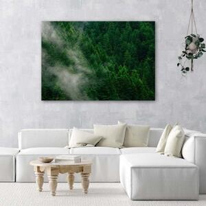 Obraz na plátně Lesní mlha Příroda Zelená - 90x60 cm