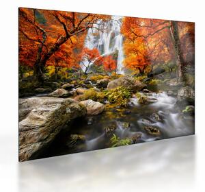 Skleněný obraz - Vodopády v oranžovém lese (70x50 cm)