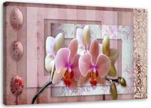 Obraz na plátně Orchidej Růžový květ - 120x80 cm