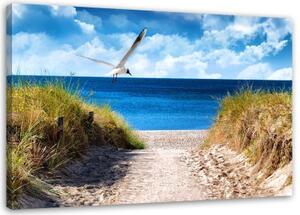 Obraz na plátně NA MÍSTĚ plážové duny racek mořský - 90x60 cm