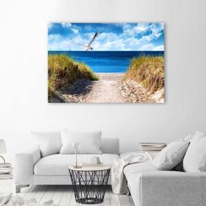 Obraz na plátně NA MÍSTĚ plážové duny racek mořský - 60x40 cm