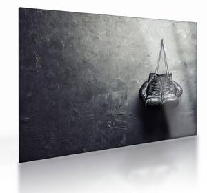 Skleněný obraz boxerských rukavic (70x50 cm)