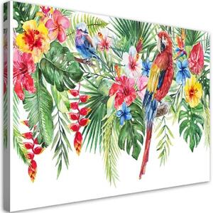 Obraz na plátně, Listy tropických květin papouška - 90x60 cm