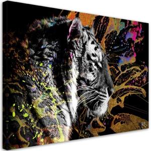 Obraz na plátně, Tygr na barevném pozadí - 100x70 cm