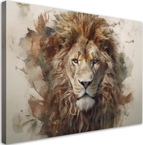 Obraz na plátně, Lev Zvíře Afrika - 60x40 cm