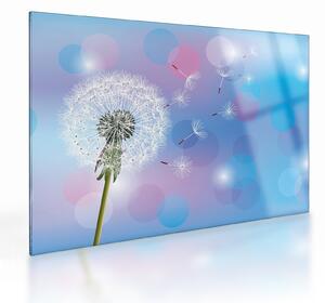 Skleněný obraz - Pampeliška ve větru (70x50 cm)