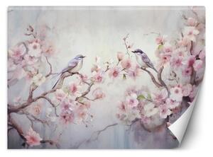 Fototapeta, Ptáci a květiny Shabby Chic - 350x245 cm