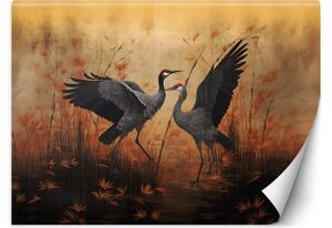 Fototapeta, Jeřáb Příroda Ptáci - 100x70 cm