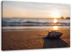 Obraz na plátně Mušle Pláž Mořský písek - 100x70 cm