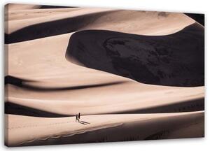Obraz na plátně Pouštní písek Příroda - 100x70 cm