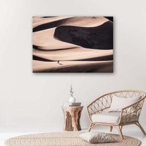 Obraz na plátně Pouštní písek Příroda - 60x40 cm