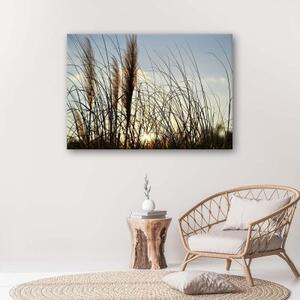 Obraz na plátně Přírodní jezero Reed - 60x40 cm