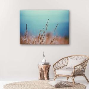 Obraz na plátně Tráva Příroda RostlinyTyrkysová - 60x40 cm