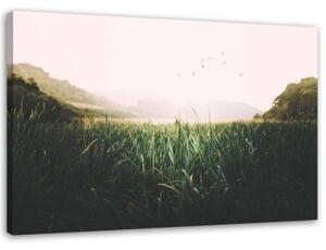 Obraz na plátně Tráva Ptáci Horská zeleň - 100x70 cm