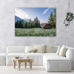 Obraz na plátně Krajina Horský dům - 60x40 cm