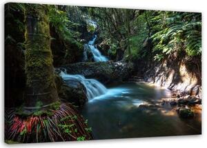 Obraz na plátně Vodopád Lesní příroda - 60x40 cm