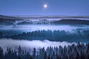 Fotografie Beautiful foggy forest, Aulanko, Hameenlinna, Finland, Milamai