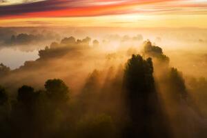 Fotografie Beautiful misty dawn in the spring, Anton Petrus