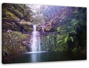 Obraz na plátně Vodopád Lesní příroda - 90x60 cm
