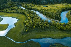 Fotografie Swamp, river and trees seen from above, Baac3nes