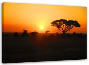 Obraz na plátně Afrika Strom západ slunce - 60x40 cm