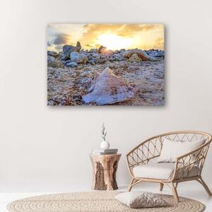 Obraz na plátně Mušle Kameny moře - 60x40 cm