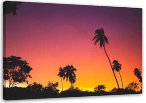 Obraz na plátně Palmy Západ slunce Moře - 60x40 cm