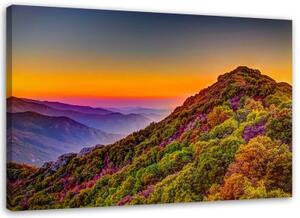 Obraz na plátně Hory Krajina Barevné - 60x40 cm