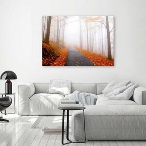Obraz na plátně Mlžná lesní krajina - 60x40 cm