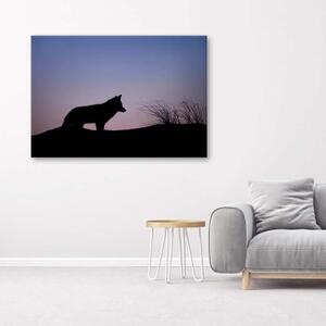 Obraz na plátně Wolf Purple Sunset - 60x40 cm