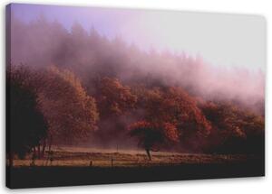 Obraz na plátně Stromy v mlze Příroda - 100x70 cm