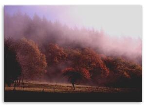 Obraz na plátně Stromy v mlze Příroda - 60x40 cm