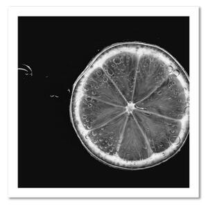 Obraz na plátně Černá Bílá Lemon - 30x30 cm